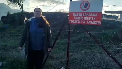 Zeytin ağaçlarının kesimine İkizköy Muhtarı’ndan tepki: Sürdürülebilir enerji adı altında zeytinleri bu şekilde mi yaşatıyorsunuz?