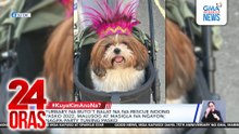 Furbaby na buto't balat na na-rescue noong Pasko 2022, malusog at masigla na ngayon; nagpa-party tuwing Pasko | 24 Oras