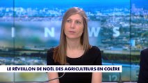 Virginie Bensoussan-Brulé : «Il y a un manque de considération envers les agriculteurs»