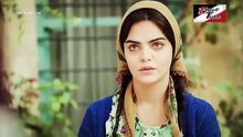 مسلسل ورد و شوك - الحلقة 146 - تركى مدبلج