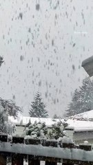 ❄️🇳🇴 Voici Tromsø — hiver 2025  À Tromsø, on est habitués aux hivers précoces et aux printemps tardifs, mais la chute de neige massive d’aujourd’hui a tout de même surpris beaucoup de monde...