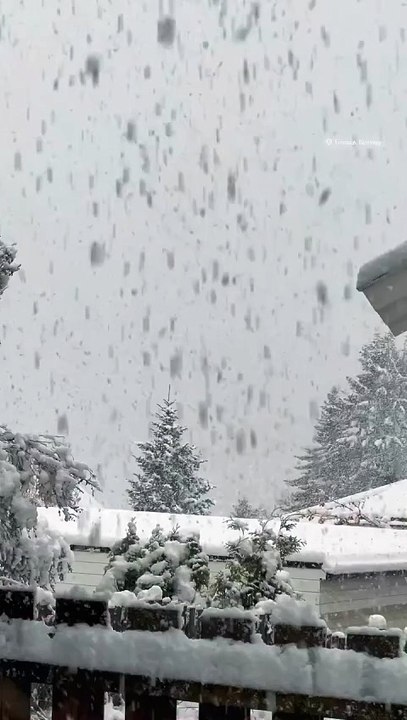 ❄️🇳🇴 Voici Tromsø — hiver 2025  À Tromsø, on est habitués aux hivers précoces et aux printemps tardifs, mais la chute de neige massive d’aujourd’hui a tout de même surpris beaucoup de monde...