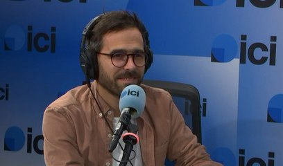 "Il lui faut un environnement calme" : les conseil du vétérinaire Pierre Fabing si vous avez reçu un animal pour Noël