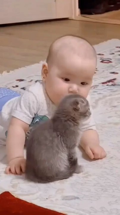 cute baby cat 😺