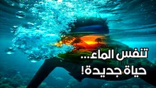 ماذا لو تنفس البشر تحت الماء؟ 🌊 مدن زجاجية وحضارة جديدة في أعماق المحيط!