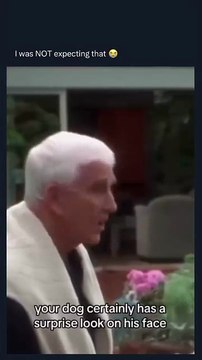 Wrongfully Accused is the satirical parody film starring Leslie Nielsen as Ryan Harrison