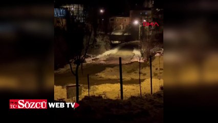 İlçe merkezine inen kurt sürüsü cep telefonuyla görüntülendi