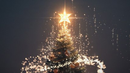 Christmas 2025: क्रिसमस ट्री कब हटाएं? जानिए शुभ तारीख