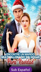 Sub EspaÑOl Encontré Un Marido Multimillonario Sin Hogar Para Navidad Serie Completa