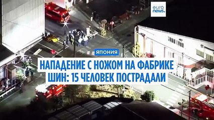 Нападение с ножом на фабрике шин в Японии: 15 человек пострадали, мужчина в противогазе также облил людей химической жидкостью