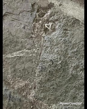 IMPACTO DE PELE EN MX EN ESA ÉPOCA LA PANACEA ERAN LOS EQUIPOS SUDAMERICANOS QUE VINIERAN A JUGAR ACÁ EN MX NO ERA EL BARCA MADRID QUE VENGA EL SANTOS DEL REY PELE BOCA RIVER BOTAFOGO NACIONAL PEÑAROL YO SOY UN EXTRATERRESTRE YO SI LO SOY UNA ENCICLOPEDIA