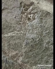 IMPACTO DE PELE EN MX EN ESA ÉPOCA LA PANACEA ERAN LOS EQUIPOS SUDAMERICANOS QUE VINIERAN A JUGAR ACÁ EN MX NO ERA EL BARCA MADRID QUE VENGA EL SANTOS DEL REY PELE BOCA RIVER BOTAFOGO NACIONAL PEÑAROL YO SOY UN EXTRATERRESTRE YO SI LO SOY UNA ENCICLOPEDIA