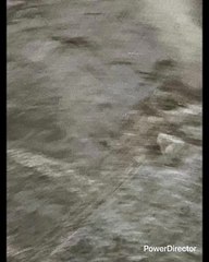 “A MI MESSI NO ME CAE BIEN SE ME HACE FINGIDO FALSON Y MARADONA? ESE SI ME CAÍ BIEN LO DIJO UN SEÑOR QUE IBA A LADO DE MI EN EL AUTOBÚS SABÍA MÁS DE DEPORTE QUE LOS PERIODISTAS FAMOSOS Y ERA COMO ALBAÑIL SI DE ACUERDO CON USTED YO VOY CON PELE ME DIJO