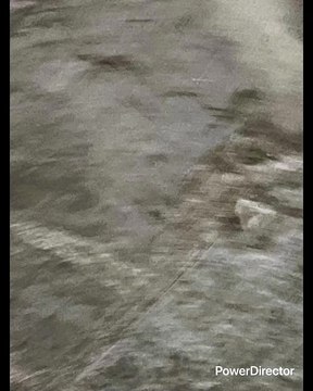 “A MI MESSI NO ME CAE BIEN SE ME HACE FINGIDO FALSON Y MARADONA? ESE SI ME CAÍ BIEN LO DIJO UN SEÑOR QUE IBA A LADO DE MI EN EL AUTOBÚS SABÍA MÁS DE DEPORTE QUE LOS PERIODISTAS FAMOSOS Y ERA COMO ALBAÑIL SI DE ACUERDO CON USTED YO VOY CON PELE ME DIJO