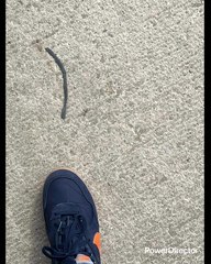 SIEMPRE HE SOSPECHADO DE ALGO O ALGUIEN MÁS BIEN UN PROBLEMA QUE TUVE PERO PUES NO PUEDO HABLAR PUES AHÍ ESTÁ EL DETALLE COMO DECIA EL BUEN CANTINFLAS