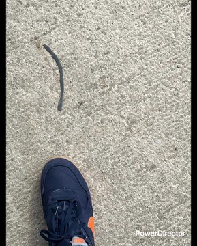 SIEMPRE HE SOSPECHADO DE ALGO O ALGUIEN MÁS BIEN UN PROBLEMA QUE TUVE PERO PUES NO PUEDO HABLAR PUES AHÍ ESTÁ EL DETALLE COMO DECIA EL BUEN CANTINFLAS