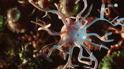 Confirman que el lupus está relacionado con una enfermedad que padecen 9 de cada 10 adultos