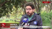 Antalya'da el konulan cennet papağanı yavrularına özenle bakılıyor