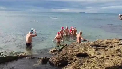 Livorno, ecco il tradizionale tuffo di Natale. Com'è il mare? Sentite i protagonisti...