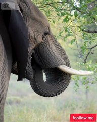 Something very, very scary  شيء مخيف جدا جدا