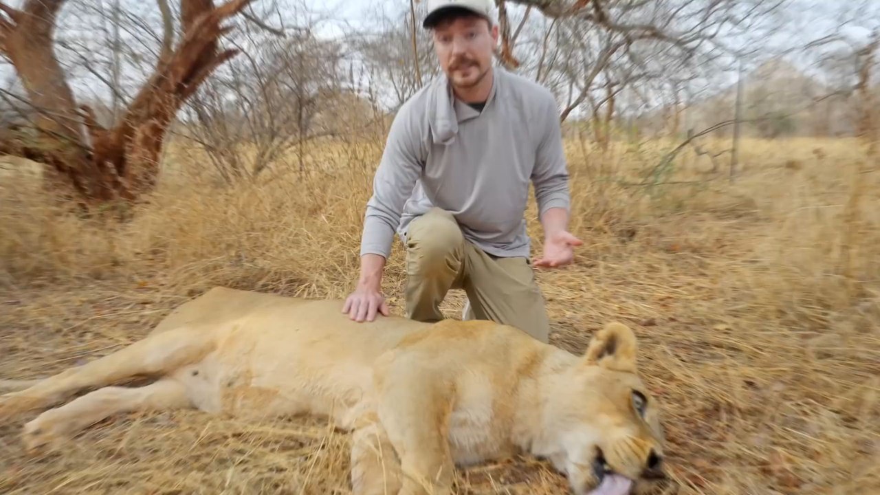 I Saved 1,000 Animals From Dying