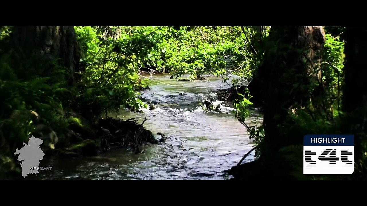 tips-4-trips - Mein #Tipp178 -- Spessart - Episode 1 - Ankunft