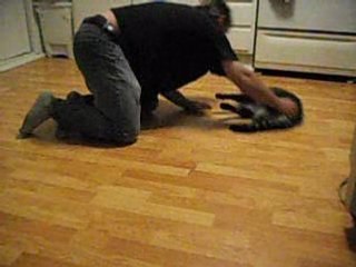 Voila ma nouvelle mope filou mon chat