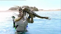 Sea Monsters S01E01 - A Walking with Dinosaurs Trilogy - Dangerous Seas