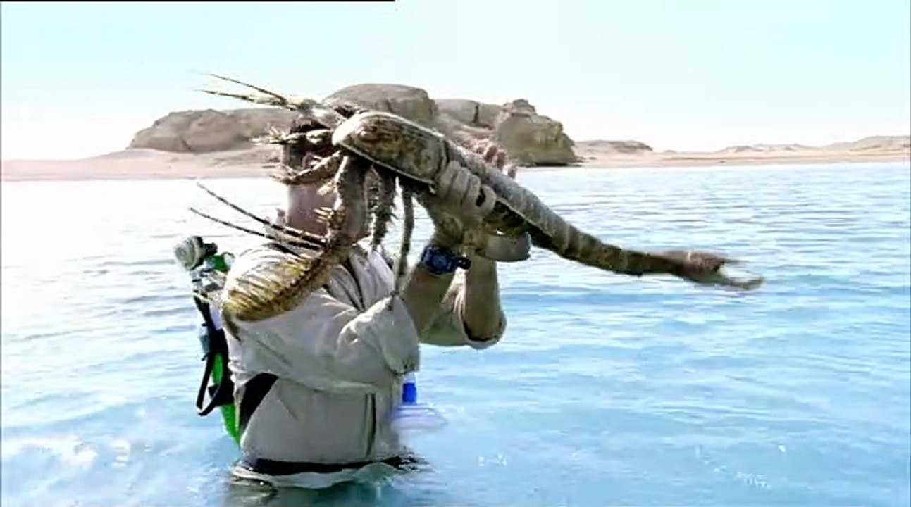 Sea Monsters S01E01 - A Walking with Dinosaurs Trilogy - Dangerous Seas