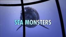 Sea Monsters - S01E02 A Walking with Dinosaurs Trilogy - Into the Jaws of Death