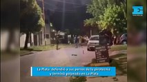 En La Plata, un vecino intentó defender a sus perros de la pirotecnia con un machete y terminó golpeado