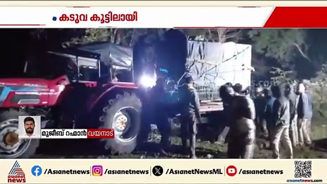 ഒടുവിൽ പിടിയിൽ; വയനാട് വണ്ടിക്കടവിൽ ഭീതി വിതച്ച നരഭോജി കടുവ കൂട്ടിലായി