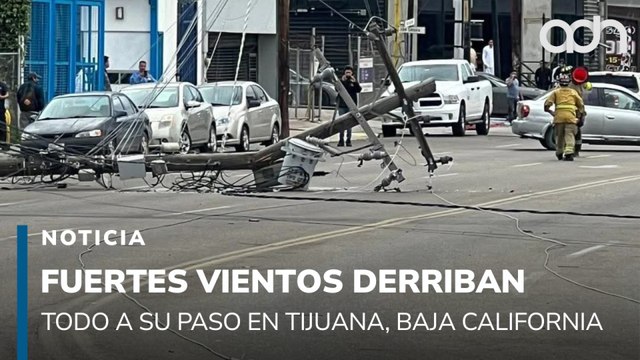 Fuertes vientos derriban espectaculares, postes y árboles en Tijuana