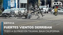 Fuertes vientos derriban espectaculares, postes y árboles en Tijuana
