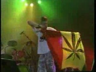 Ska-p  cannabis (live)