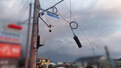 제주, 강풍 피해 잇따라...항공편은 정상 운항 / YTN