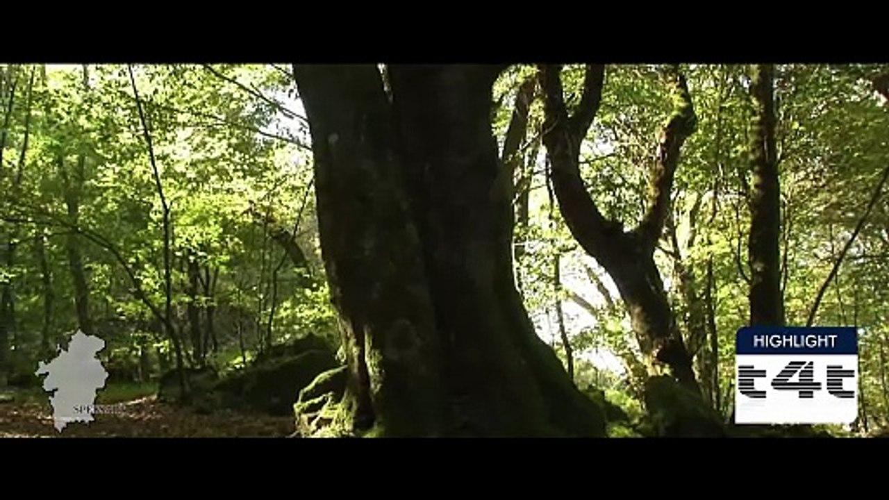 tips-4-trips - My #Tip239 -- Spessart - Episode 4 - Bad Orb