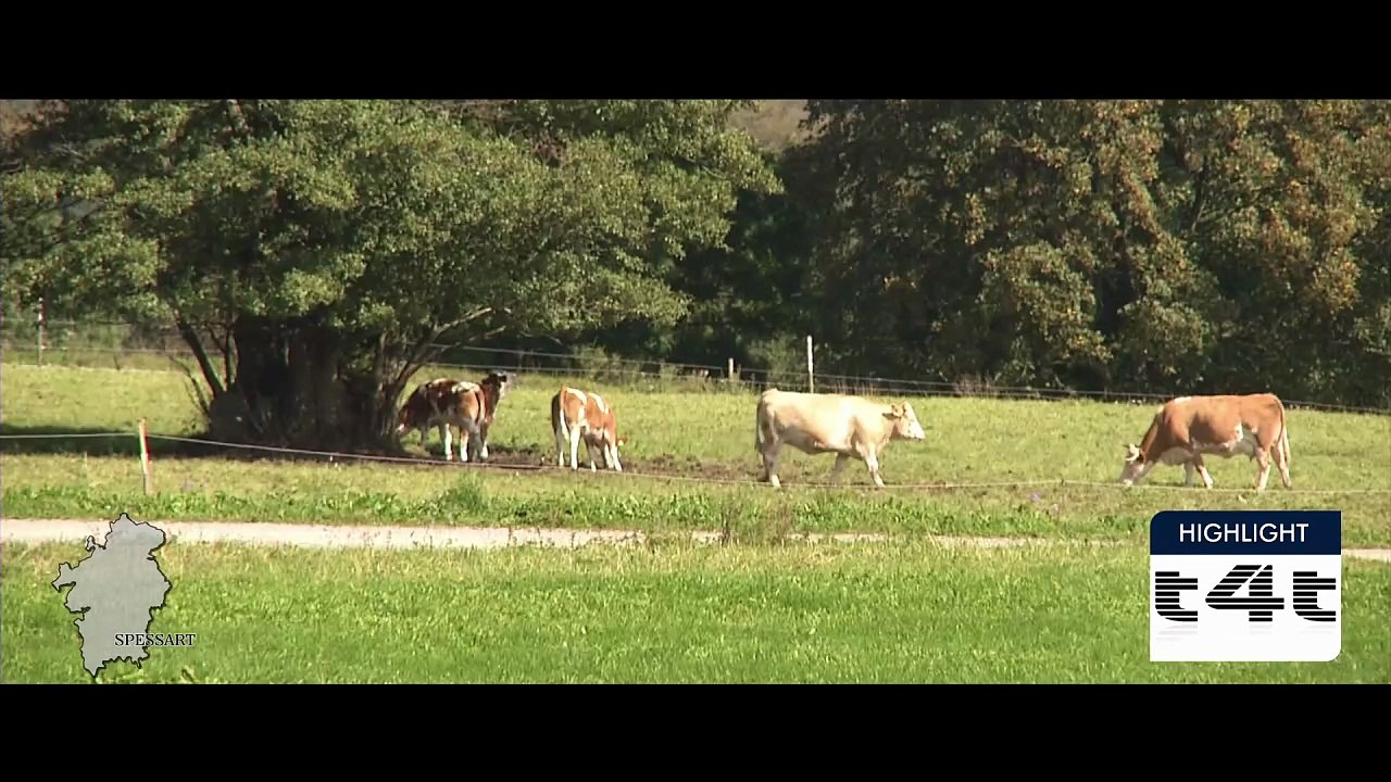 tips-4-trips - Mein #Tipp239 -- Spessart - Episode 4 - Bad Orb