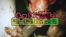 ネットで話題の謎の生物映像公開