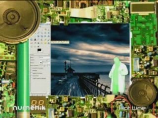 Reunionnais du monde dans l'émission Numerik sur RFO