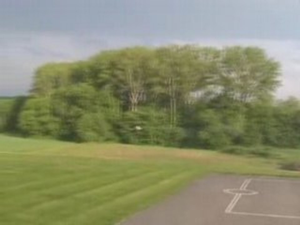 Lukas Riva T-Rex 700