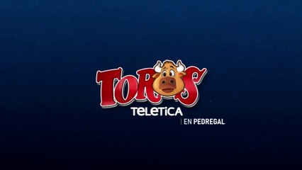 Toros en pedregal 25 diciembre 2025