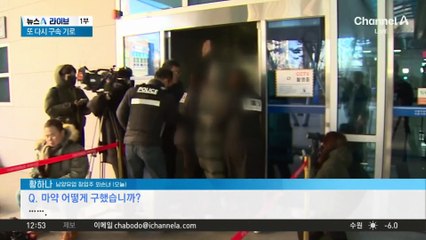 ‘마약 도피’ 황하나, 또다시 구속 기로