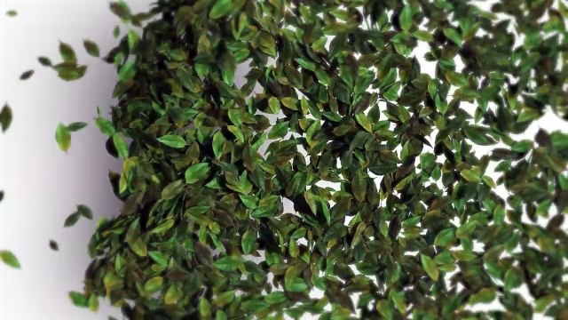 Your Health Deserves the Real Thing _ Herbalife India’s initiative on Counterfeit Products Awareness