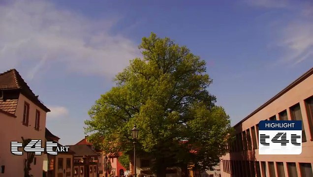 tips-4-trips - My #Tip236 Spessart - ART - Kunstlanding, Aschaffenburg