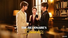 THE BILLIONAIRE STEWARDESS