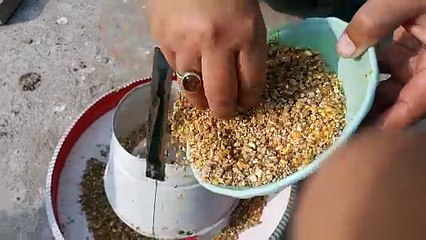 مرغیوں میں سوکڑے کا آسان اور آزمودہ علاج | Sokry Ka Asaan Ilaj