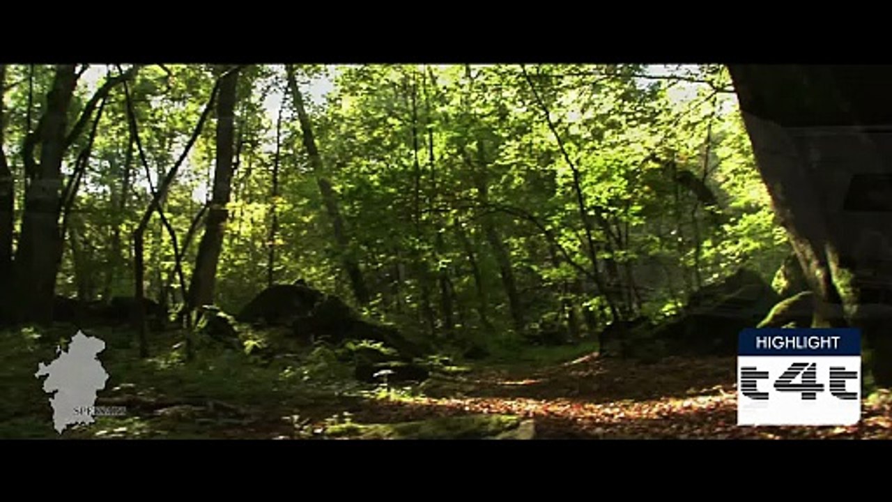 tips-4-trips - Mein #Tipp206 -- Spessart - Episode 7 - Obernburg