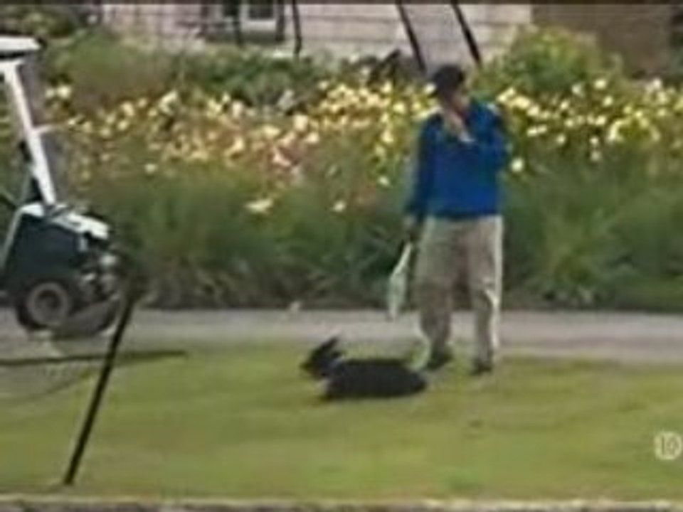 La belle vie de Bush ^^
