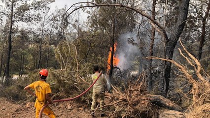 Ege'de orman yangını bilançosu: 2025 yılında 459 yangın çıktı, 3 bin 861 hektar alan zarar gördü